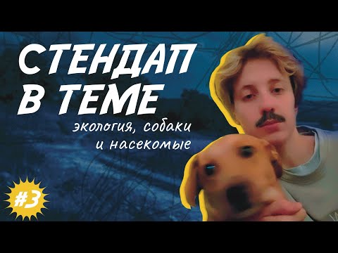 Видео: Ника Тарасевич | Стендап В ТЕМЕ: экология, собаки и насекомые | #3