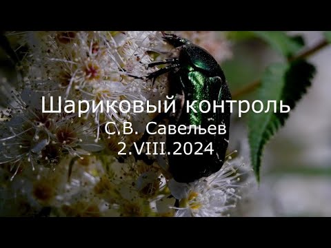 Видео: С.В. Савельев - Шариковый контроль