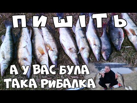 Видео: ✅🇺🇦 ТИ ШО РИБАЛКА ,СКАЖЕНА РИБАЛКА НА СУДАКА ,ЦЕ МРІЯ, КЛЮВАКИ НА КОЖНОМУ ЗАКИДІ#РЫБАЛКА #СУДАК