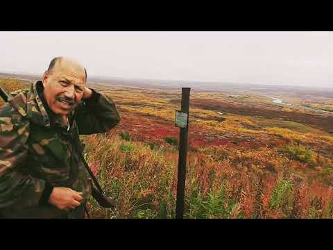 Видео: Воркута. 14.09.24. Юнь-яга. Сбор урожая!)