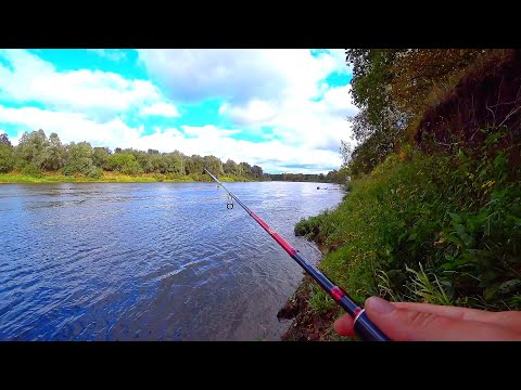 Видео: Как я нахожу места на реке! Ловля щуки и судака в сентябре на спиннинг! Рыбалка на джиг!