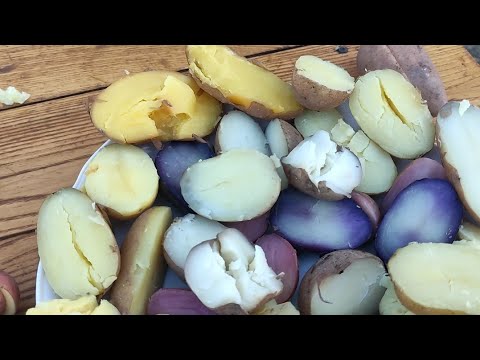 Видео: Варимо картоплю різних сортів.