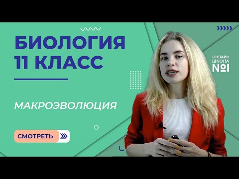 Видео: Макроэволюция. Видеоурок 7. Биология 11 класс