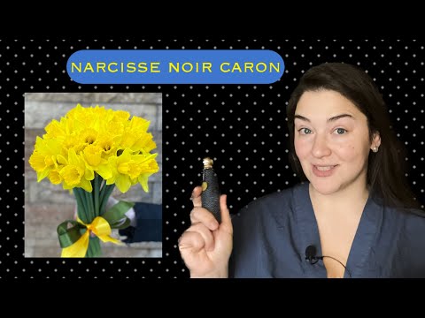 Видео: сила нежного пульвика и narcisse noir