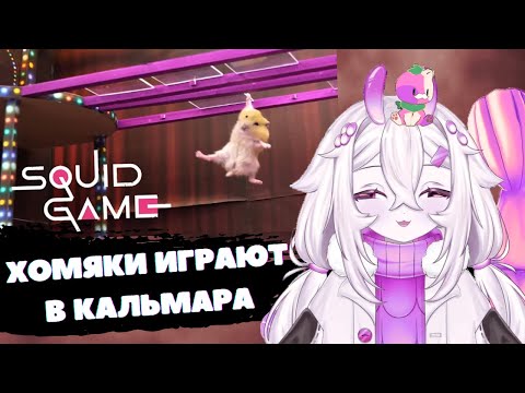 Видео: Мемель смотрит: Хомяки в игре «Кальмары»!