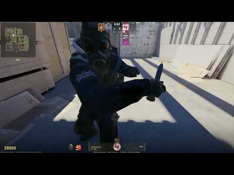 Видео: видео для тех кто говорит что на прайме кс 2 нет читеров!!