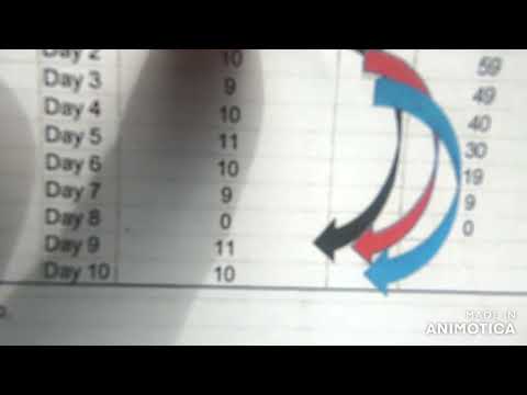 Видео: Як рахуються робочі години truck driver по CANADA & USA, Log Book. New Brunswick❤️Canada 300