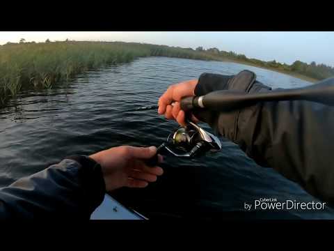 Видео: Deps balisong minnow 130sp,OSP Rudra 130f.Жор щуки в сентябре