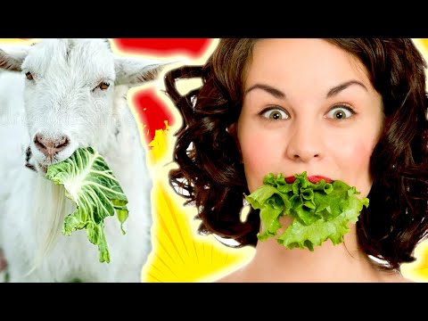 Видео: Треш Обзор ВЕГАНСКИЙ ПАБЛИК в ВК [ Угараем ПО ПОЛНОЙ ]