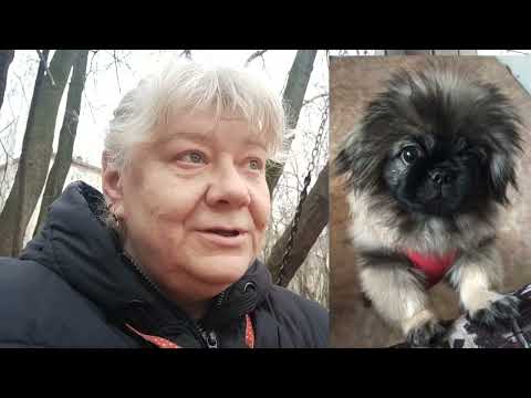 Видео: И снова- ЗДРАВСТВУЙТЕ, дорогие наши, заодно отвечу на комментарии- ДА УЖ!)🤣