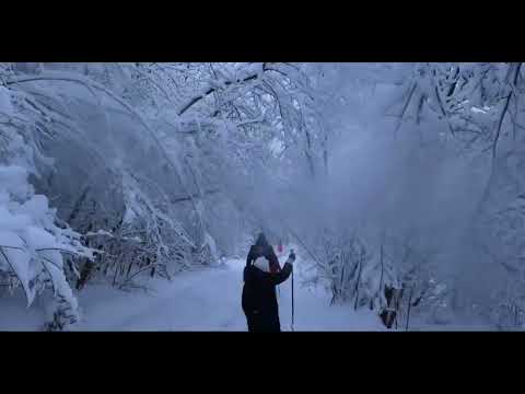 Видео: Трускавец отель 365 . Экскурсия Гора князів Див