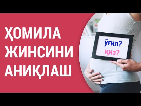 Видео: Ҳомила жинсини аниқлаш