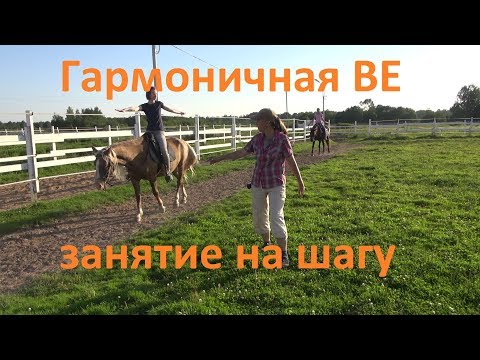 Видео: Работа на шагу, гармоничная верховая езда.