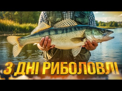Видео: Скільки риби можна зловити за три дні?