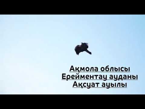 Видео: Аксуат (Новодолинка) Туған жерім!🇰🇿🇰🇿🇰🇿
