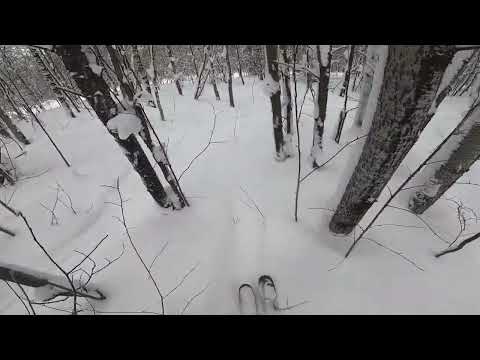 Видео: Губаха 2025. Спуск по лесу вдоль таежной