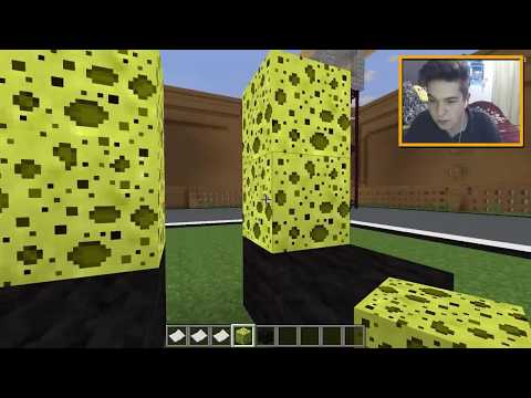 Видео: ЧТО СКРЫВАЕТ ОТ НАС ЭТА ТРОЛЛИНГ ЛОВУШКА В МАЙНКРАФТ?! УГАДАЙ ТРОЛЛИНГ ПОСТРОЙКУ В MINECRAFT