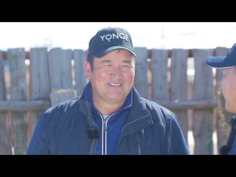 Видео: #Хэрвээ_та #Шинэ_Эдийн_засаг #Царгас