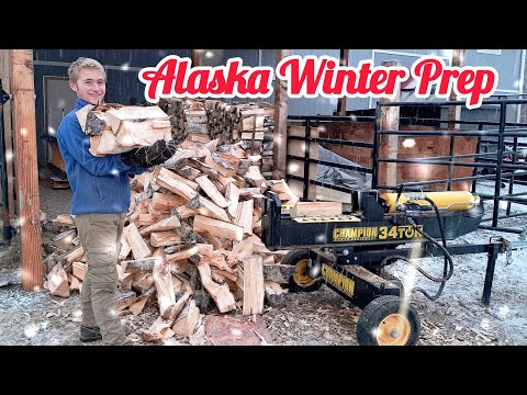 Видео: Семья, дрова и дикий зов бензопилы
