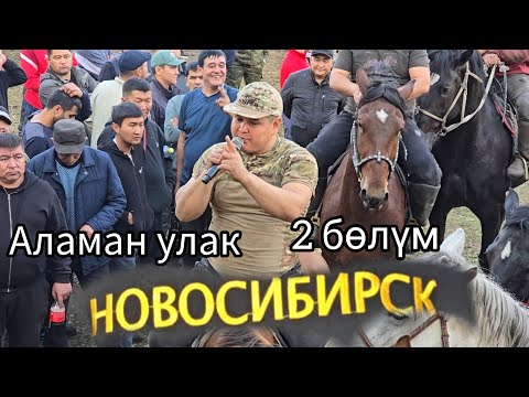 Видео: Новосибирск 26 сентября 2025  Аламан улак 2 бөлүмү #атбазар #horse #арабскиелошади 