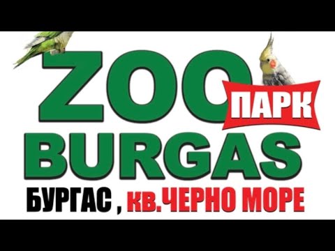 Видео: Коледна разходка в зоопарк Бургас