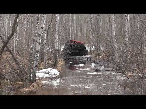 Видео: сокол  и пикап по просеке ч2