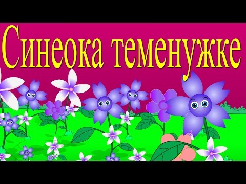 Видео: Синеока теменужка + 7 песничек | Компилация 15 минути | Детски песнички | С текст