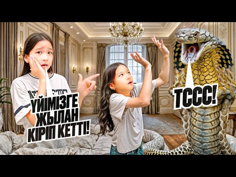 Видео: ҮЙІМІЗДЕ ЖЫЛАН ЖҮР😱|ЕРКЕЖАНДЫ ТІСТЕП АЛДЫЫ😣|ЕРКЕЖАНҒА НЕ БОЛДЫ?!👀😨