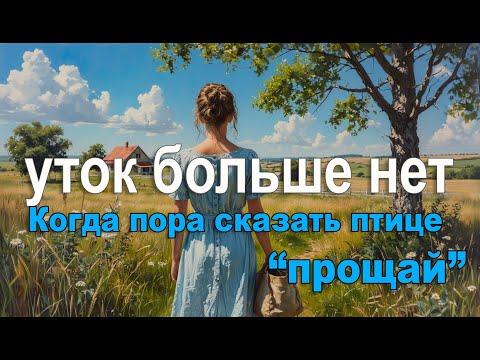 Видео: Почему я решила оставить птицеводство  Мой путь к перезагрузке  Фермерский отпуск