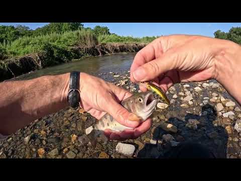 Видео: Август 2024. рыбалка в приморском крае. Рыбалка на спиннинг и поплавочную удочку. горная рыбалка.