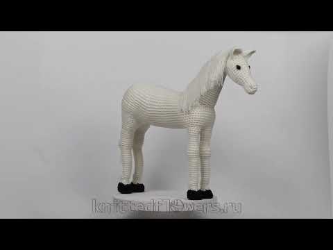 Видео: Лошадь