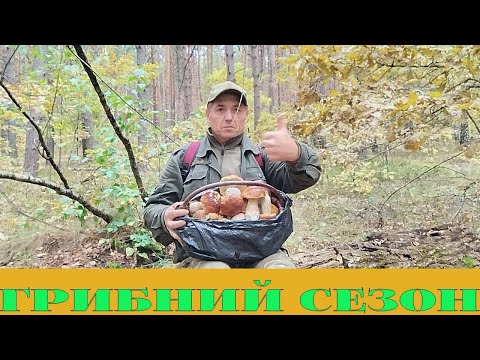 Видео: ГРИБИ НЕ ВІДПУСКАЮТЬ З ЛІСУ...ВТРАЧАЮ СВІДОМІСТЬ, АЛЕ ТРИМАЮСЬ...9.10.2025Р. БІЛІ ПОПЕРЛИ...