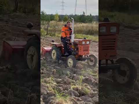 Видео: 4 октября 2025 г.