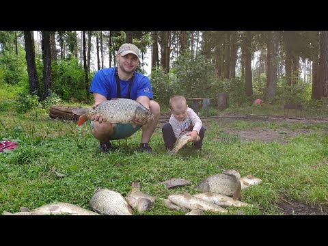 Видео: Карп на донки, устал таскать этих кабанов.Рыбалка с ночевкой.