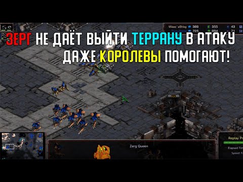 Видео: Старкрафт Z VS T Зерг не даёт нормально выйти из базы!