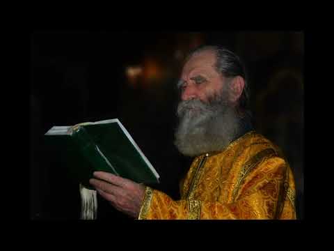 Видео: Валерий Лялин. Рассказы алтарника
