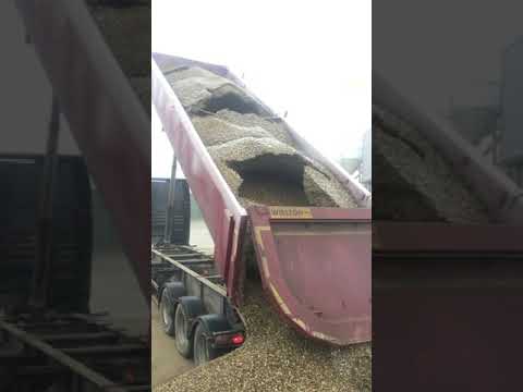 Видео: Выгрузка ТОНАРА в мороз -4 жесть!!!!