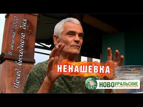 Видео: Ненашевская тропа. Полный маршрут