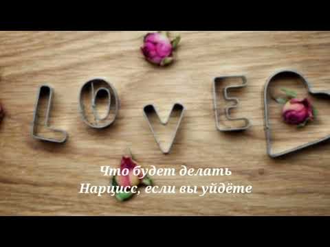 Видео: Что будет делать Нарцисс, если вы уйдёте #нарциссы #нрл #люблю @schastie_esc