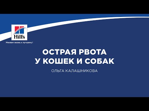 Видео: Вебинар на тему: “Острая рвота у кошек и собак”. Лектор - Ольга Калашникова.