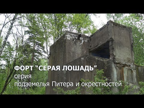 Видео: Форт Серая лошадь (подземная часть) под Петербургом: серия подземелья Питера и окрестностей
