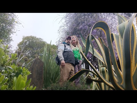Видео: Фитофантазия в сочи