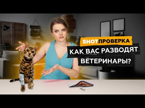 Видео: Как ветеринары делают деньги на ваших животных? | SHOT ПРОВЕРКА
