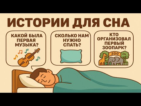 Видео: Интересные вопросы и факты перед сном | Энциклопедический рассказ для сна