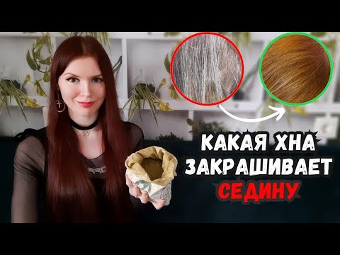 Видео: Хна и седина: как покрасить волосы хной, чтобы закрасить седину?