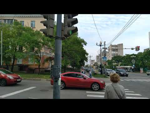 Видео: 59. г. Хабаровск. ул. Ленина. 14.06.23.