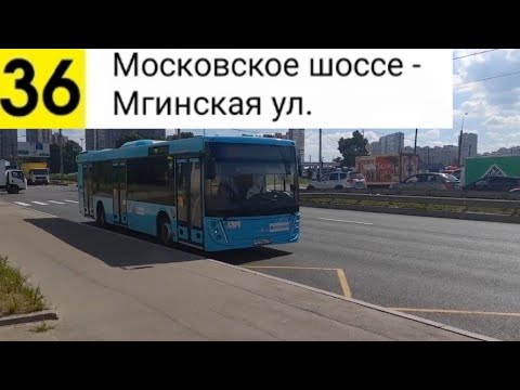 Видео: Автобус 36. Московское шоссе - Мгинская ул.