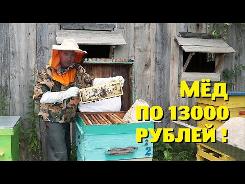 Видео: Пасека за 2 месяца и мёд себестоимостью 13000 рублей.