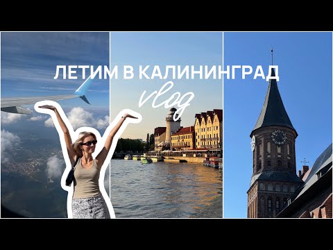 Видео: ЛЕТИМ В КАЛИНИНГРАД | VLOG | первые 2 дня путешествия