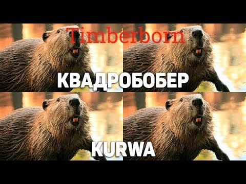 Видео: Бобровый поток \ DedSad \ Timberborn